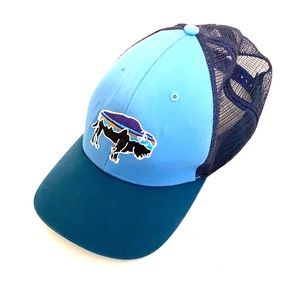 Patagonia Mens Trucker Hat 